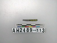 藏品(磨製石針)的圖片